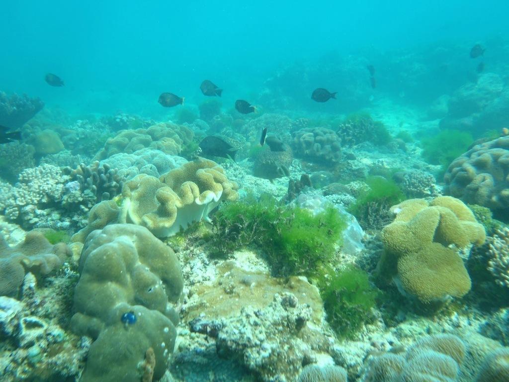 Oro Beach Houses Weetebula Luaran gambar